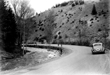 340542 CCC Using Grapling Irons for Drowned Federal Vet, Malheu NF, OR 1937.jpg