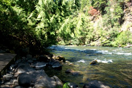 River recreation on the "Wild and Scenic" north Umpqua River