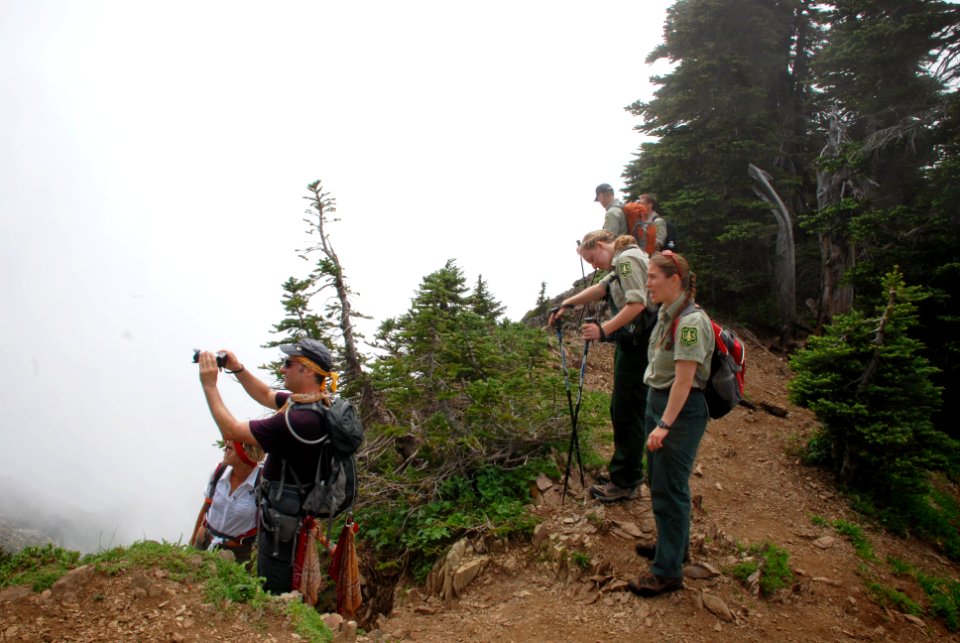 Group hiking at Mt Elinor, Olympic National Forest