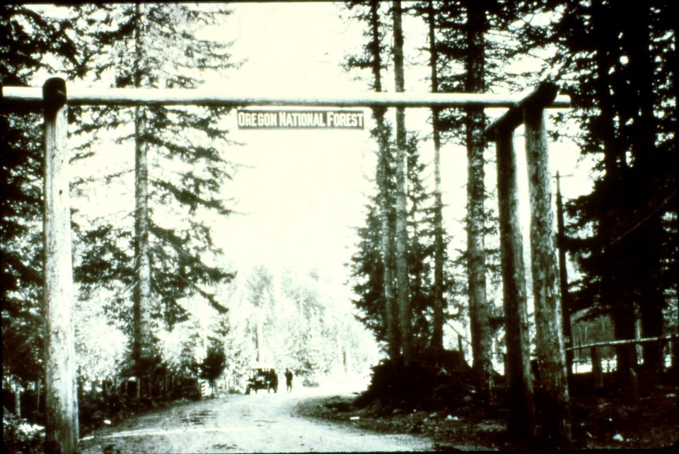 Oregon NF - Entrance Portal, OR c1915a