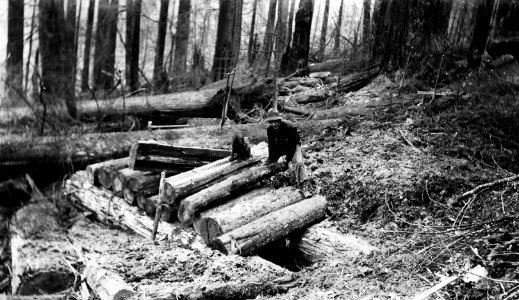 Olympic NF - Building a Trail Culvert photo