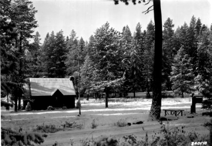 340510 Bear Springs GS, Mt Hood NF, OR 1935 photo