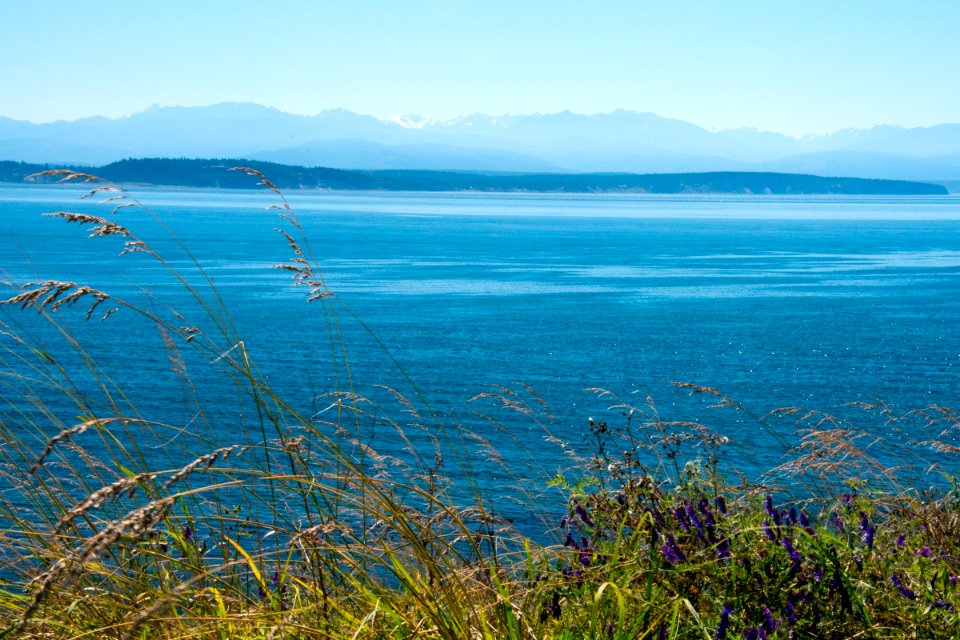 The Olympic Mountains from Ebeys Landing