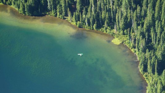Marion Lake Plane Crash Recovery-Aerial Underwater View, Willamette National Forest photo