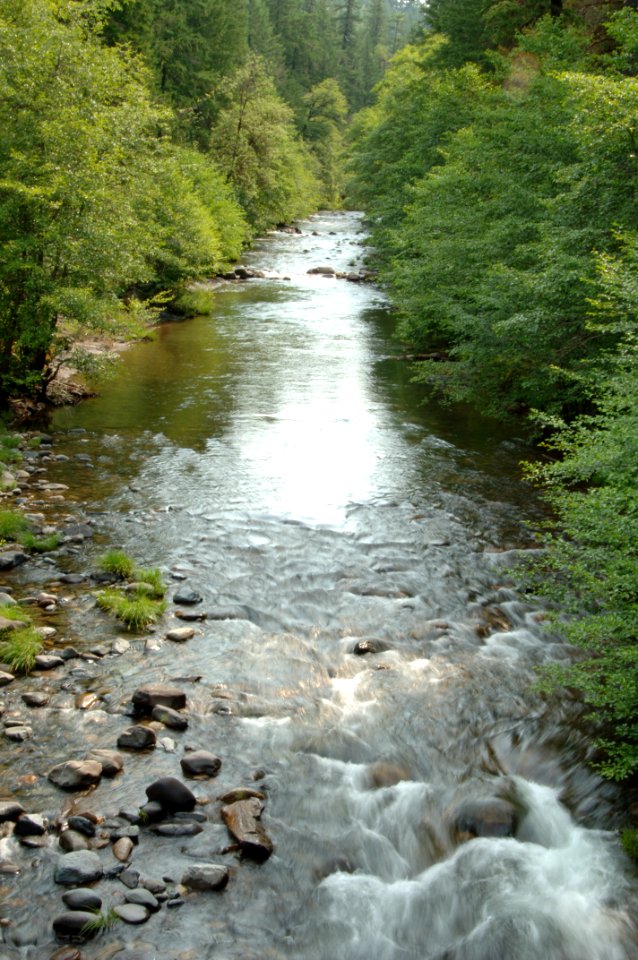 Jackson Creek-Umpqua