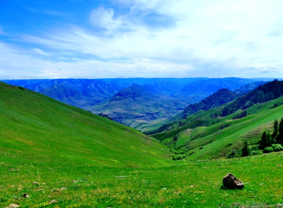 View from Cemetery Ridge, Wallowa-Whitman National Forest