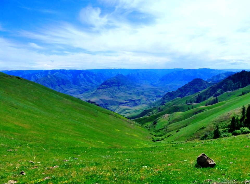 View from Cemetery Ridge, Wallowa-Whitman National Forest photo