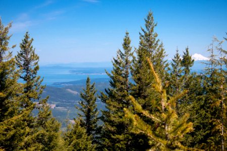 Mt Baker and the Puget Sound from the PNT on Mt Zion, Olympic National Forest photo