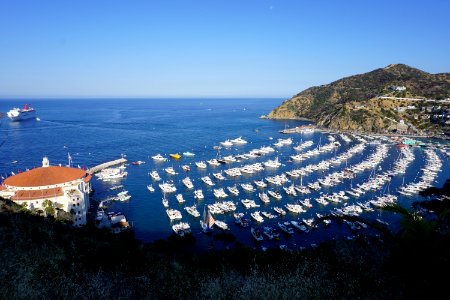 Catalina Island, CA (Unedited) photo