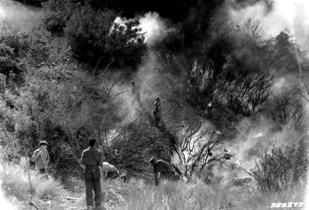 289277 CCC on Big Pine Creek Fire, Angeles NF, CA 1934 photo