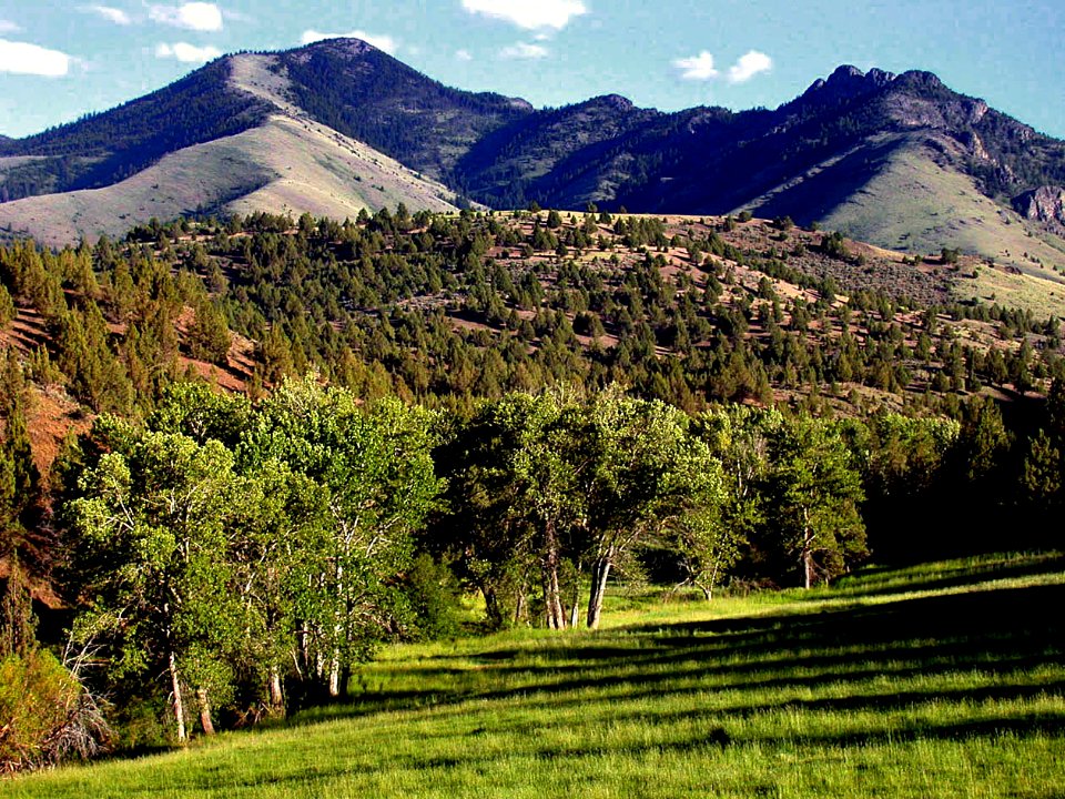 ALDRICH MOUNTAINS-MALHEUR