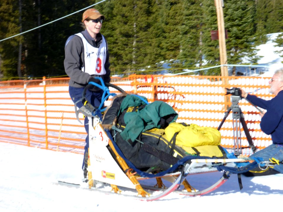 Woman Musher competing in Eagle Cap Dog Sledding Event, Wallowa Whitman National Forest