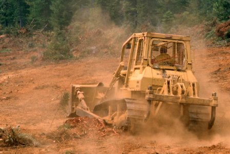 234 Rogue River-Siskiyou National Forest, Biscuit Fire