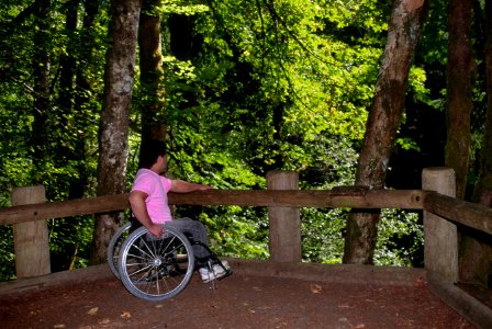 Accessible Viewpoint, Mt Hood National Forest photo