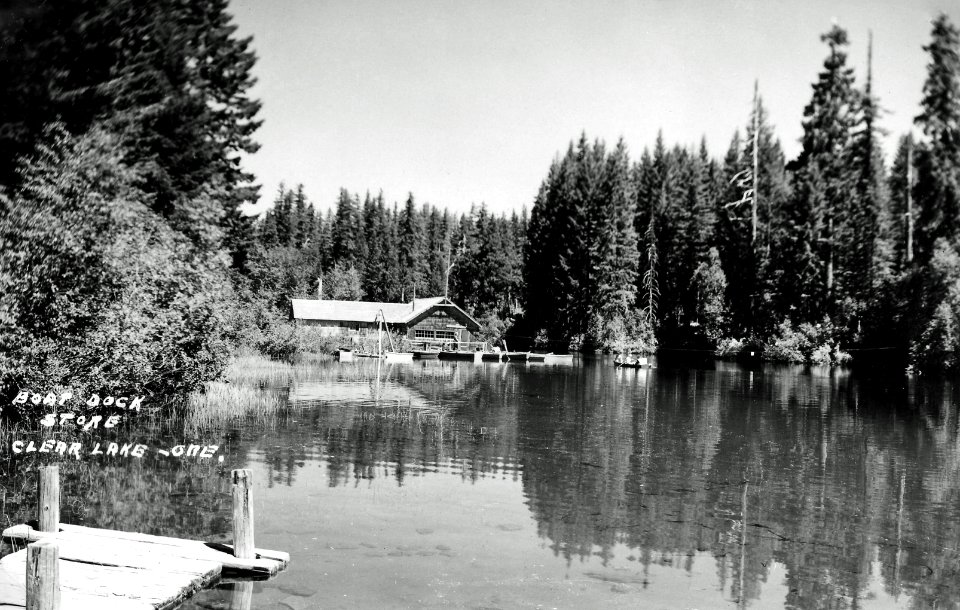Willamette NF - Clear Lake Resort, OR c1930