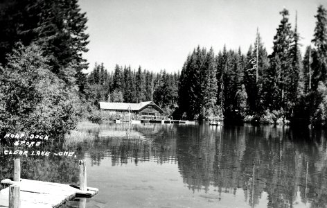 Willamette NF - Clear Lake Resort, OR c1930 photo