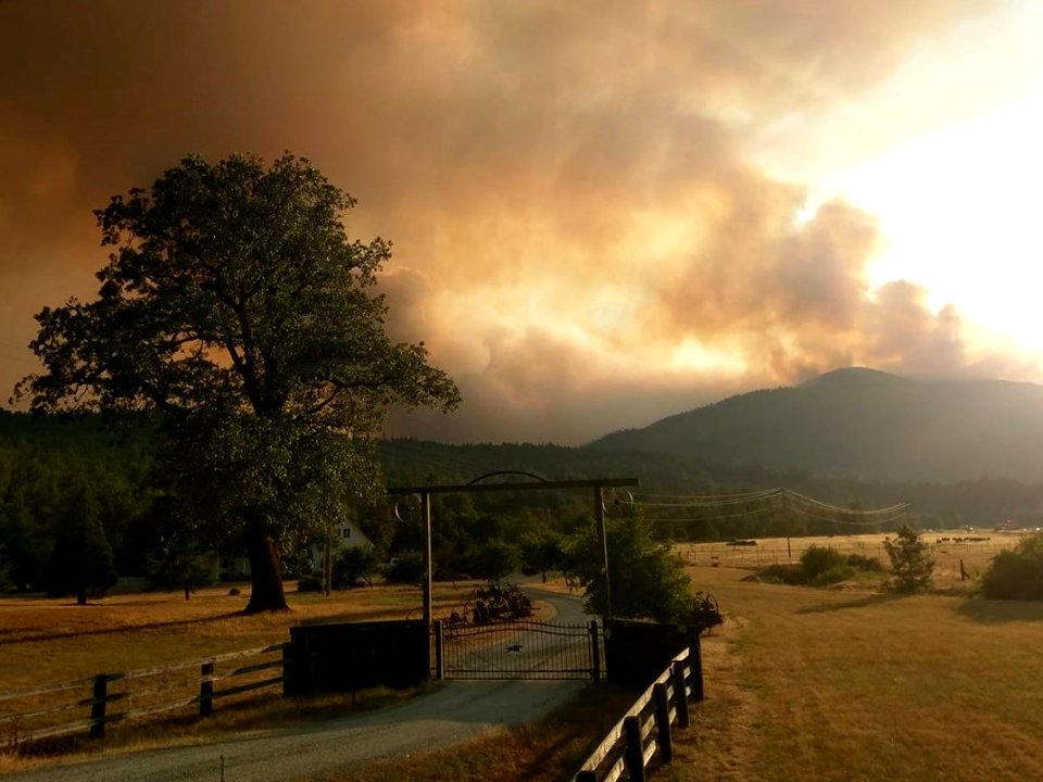 Sunset on the Taylor Creek Fire