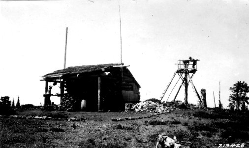 219428 LO Tree and Shelter, Umpqua NF, OR photo