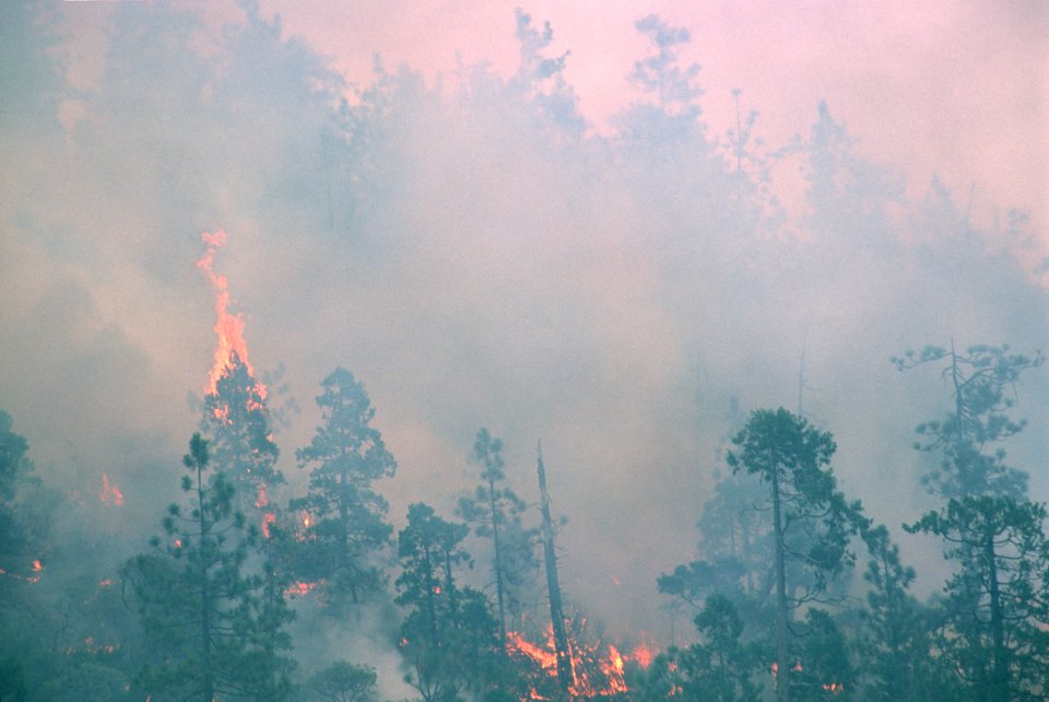 130Rogue River-Siskiyou National Forest Biscuit Fire