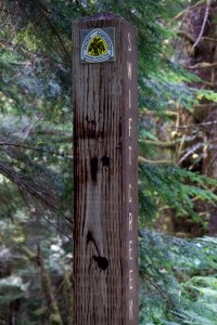Pacific Northwest Trail sign along Upper Swift Creek photo
