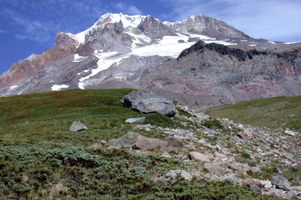 PARADISE PARK AND MEADOW-MT HOOD