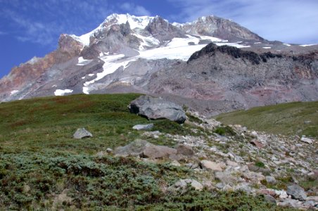 PARADISE PARK AND MEADOW-MT HOOD