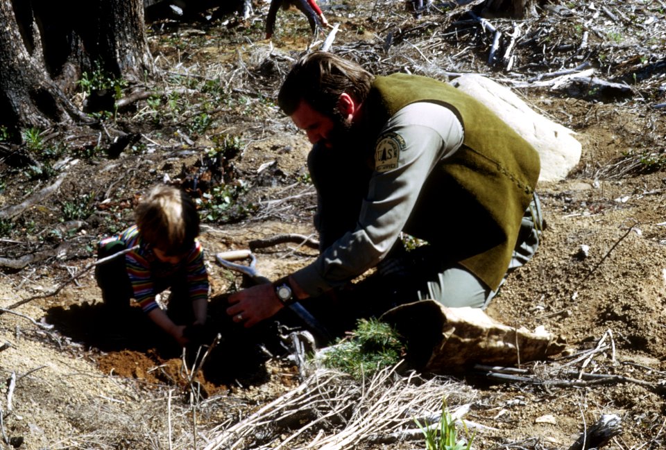 516 Millionth acre planting event, Tom Cox assists child planting, Mt Hood Nat'l Forest
