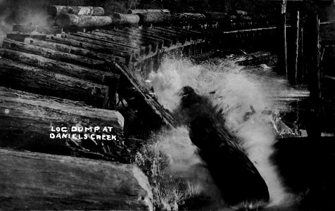 Log Dump at Daniels Creek OR photo