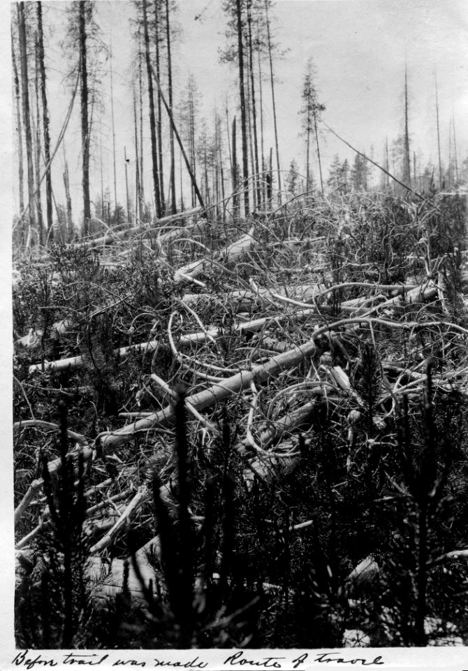 Umpqua NF - Before Trail Made, OR c1910 photo