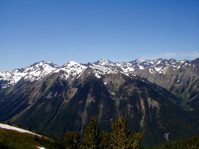 View from Marmot Pass, Olympic National Forest photo