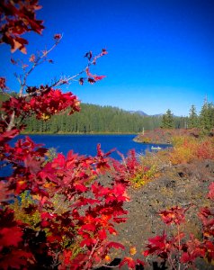 Fishermen and Fall Color at Clear Lake, Willamette National Forest