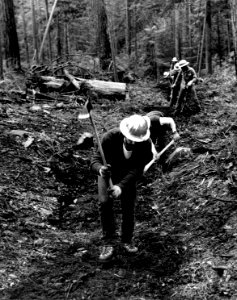 R-6 80-10-08 YACC Building Trail, Willamette NF, OR 1977