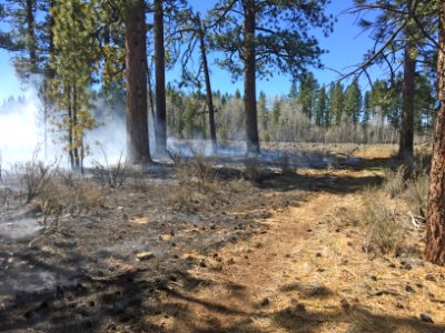 Prescribed Burn in Field, Fremont-Winema National Forest photo