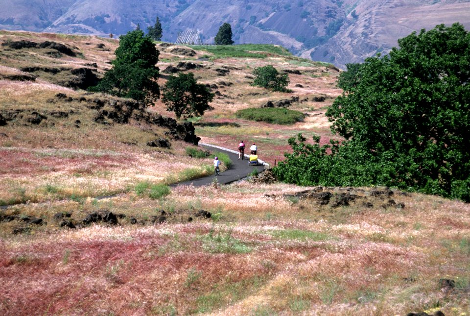 Bicycle riders, Columbia River Gorge NSA