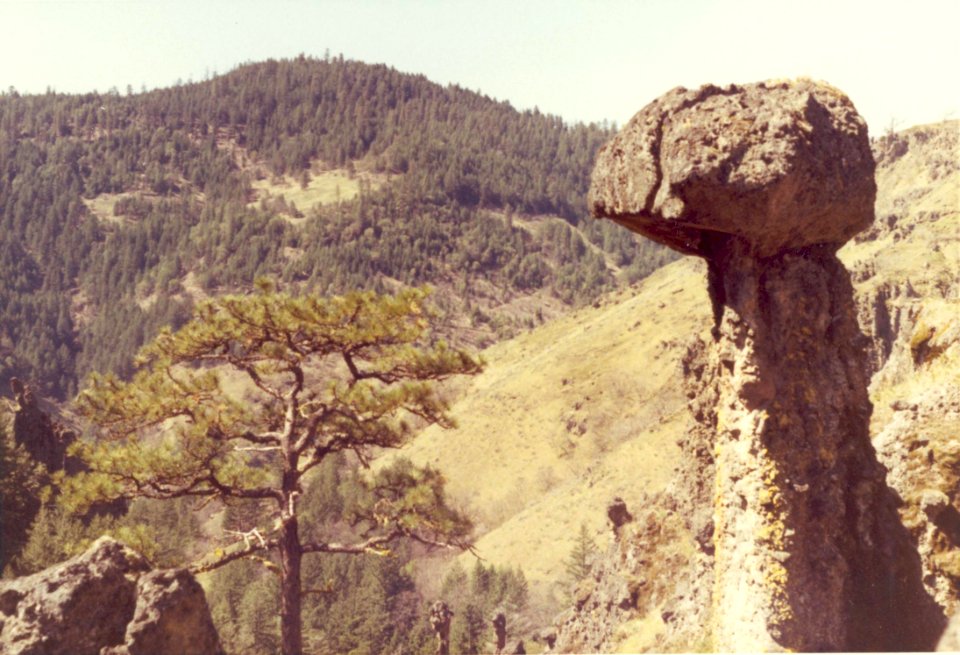 W-5-45.03 View across So Fk Lil Butte Cr. from Grizzly Cany