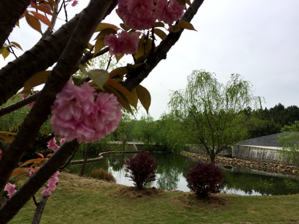 鄱陽湖濕地公園～江西省China