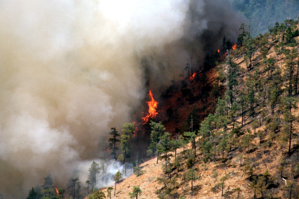 091 Rogue River-Siskiyou National Forest, Biscuit Fire