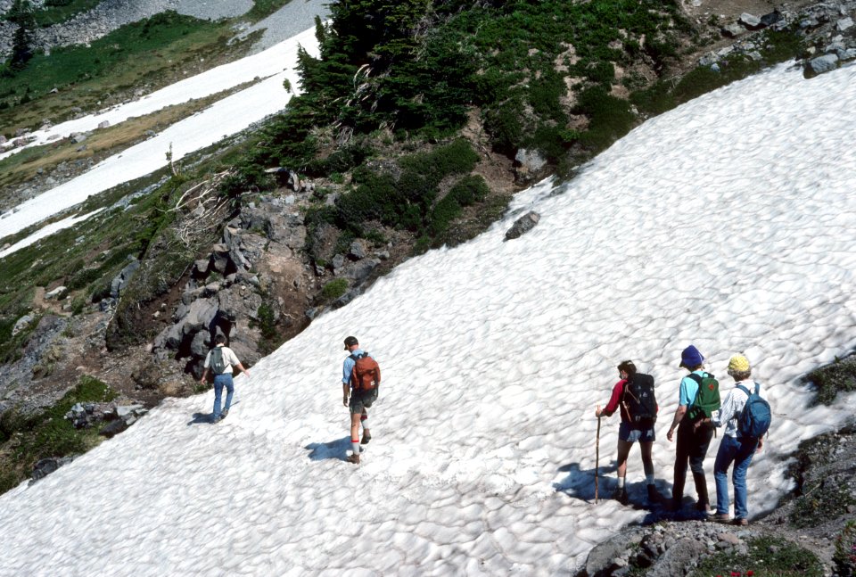 Hikers hiking Snow Field, Mt Hood National Forest.jpg