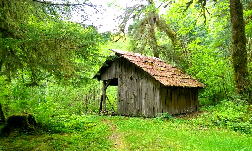 Westfork Humptulips Shelter, Olympic National Forest