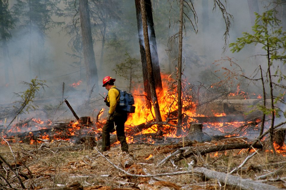 488 Prescribed fire burn, Colville National Forest