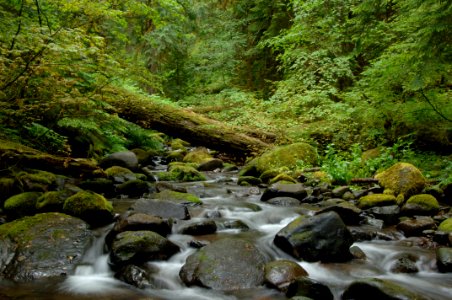 Mack Creek in the HJ Andrews Experimental Forest, Willamette National Forest photo