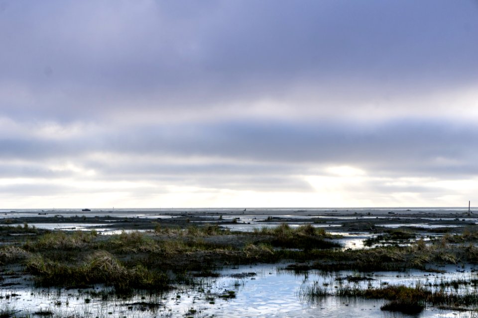 Grayland Beach State Park