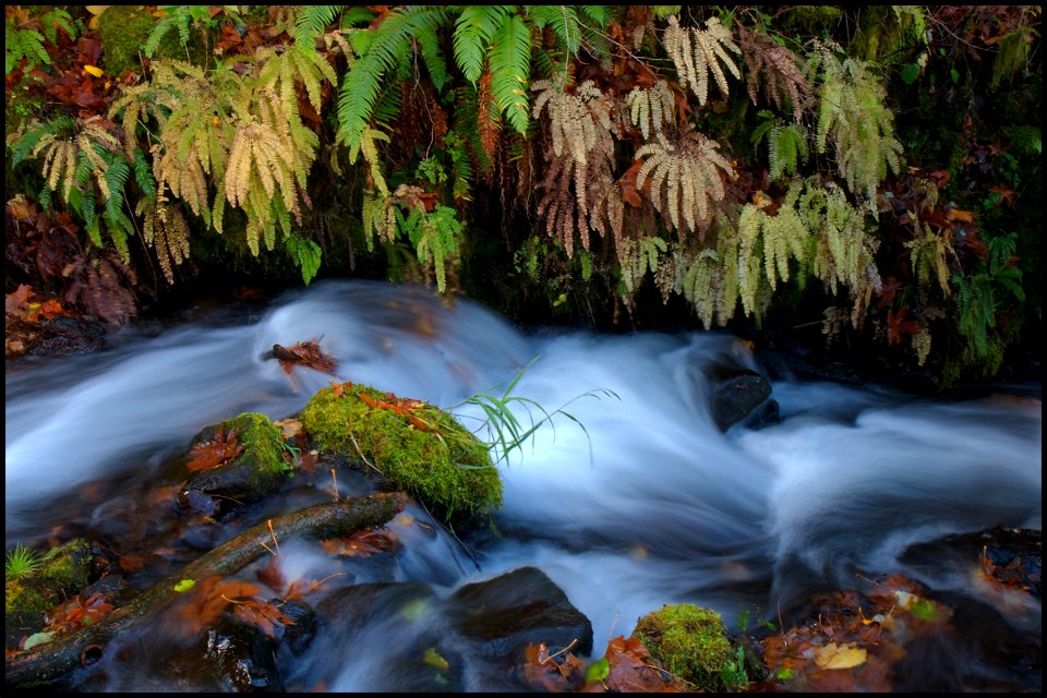 View of Wahkeena Creek in Fall-Columbia River Gorge