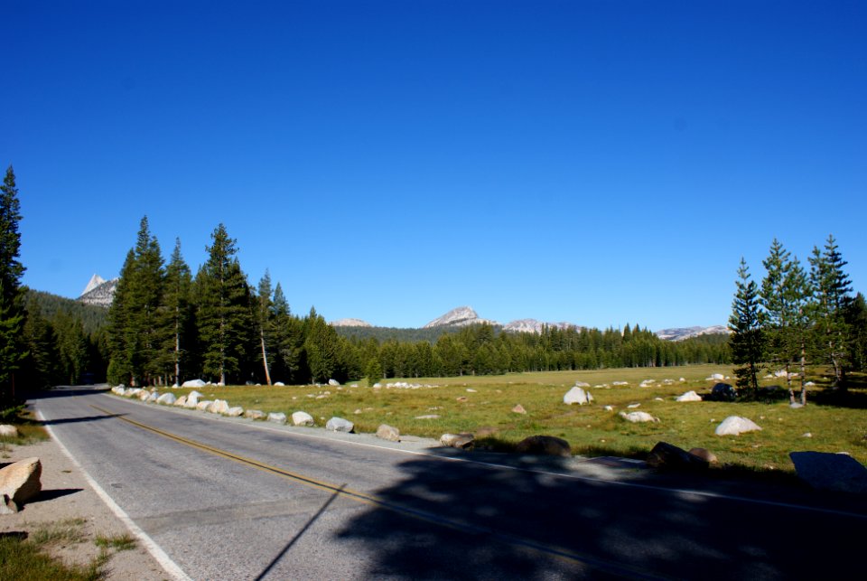 Yosemite National Park, California