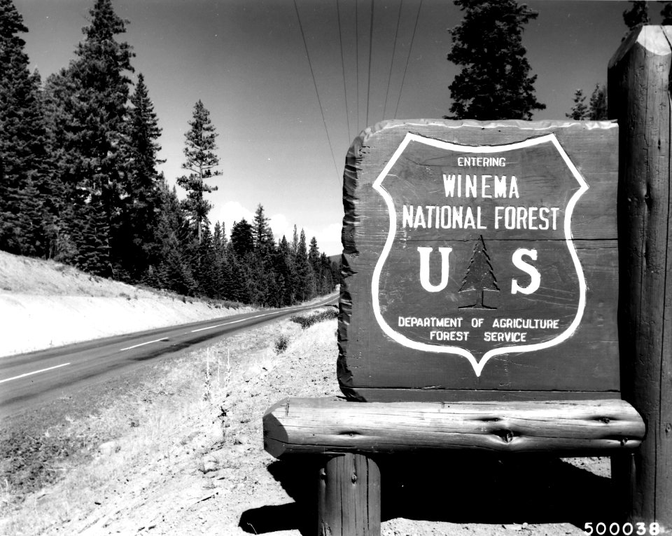 500038 Winema NF Entrance Sign, Winema NF, OR 1961
