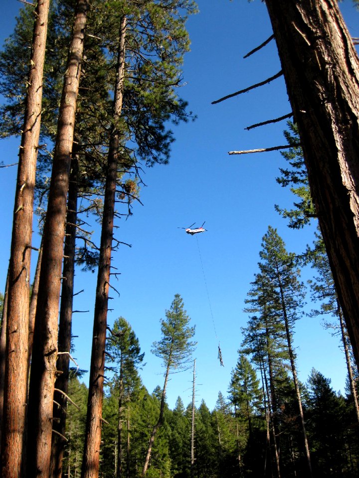Upper Middle Fork Restoration-Helicopter transporting Habitat Tree, Willamette National Forest