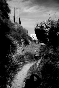 Ronda novembre 2017