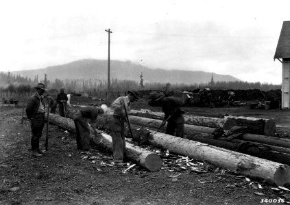 340036 CCC Camp Randle, Columbia NF, WA 1936