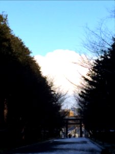 北海道札幌神宮～Japan photo