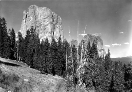 Y-5-33 Rabbit Ears close-up ca1938